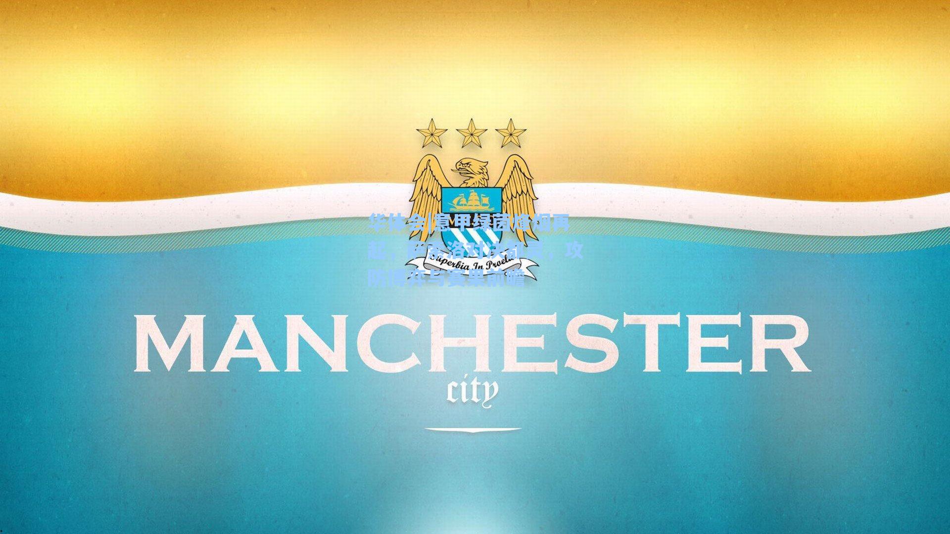 意甲绿茵烽烟再起，萨索洛对决都灵，攻防博弈与赛果前瞻