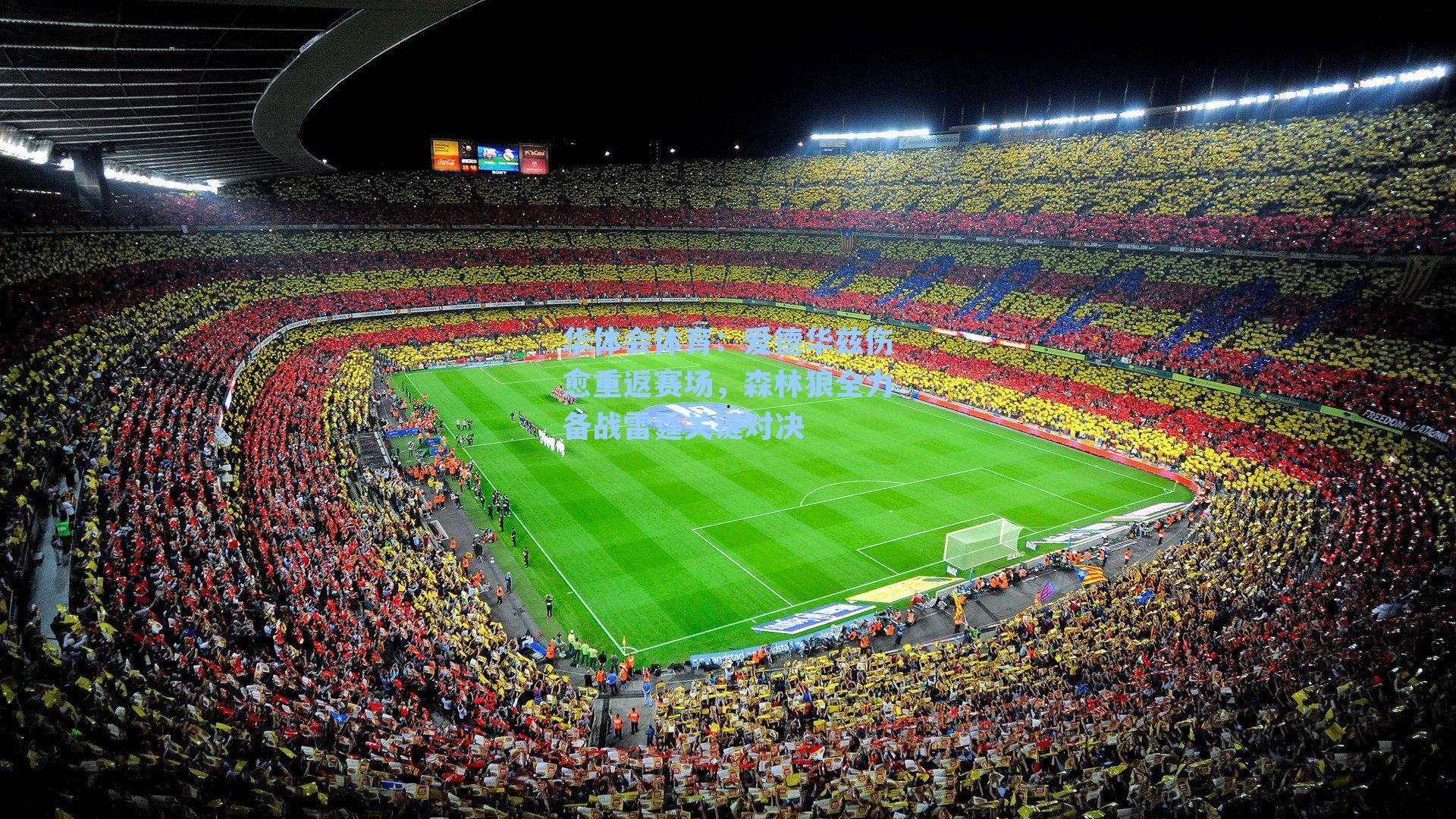 爱德华兹伤愈重返赛场,森林狼全力备战雷霆关键对决